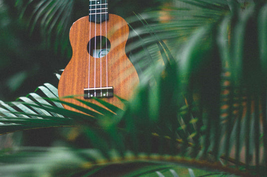 Les différences entre ukulélé et guitare - Cham Music