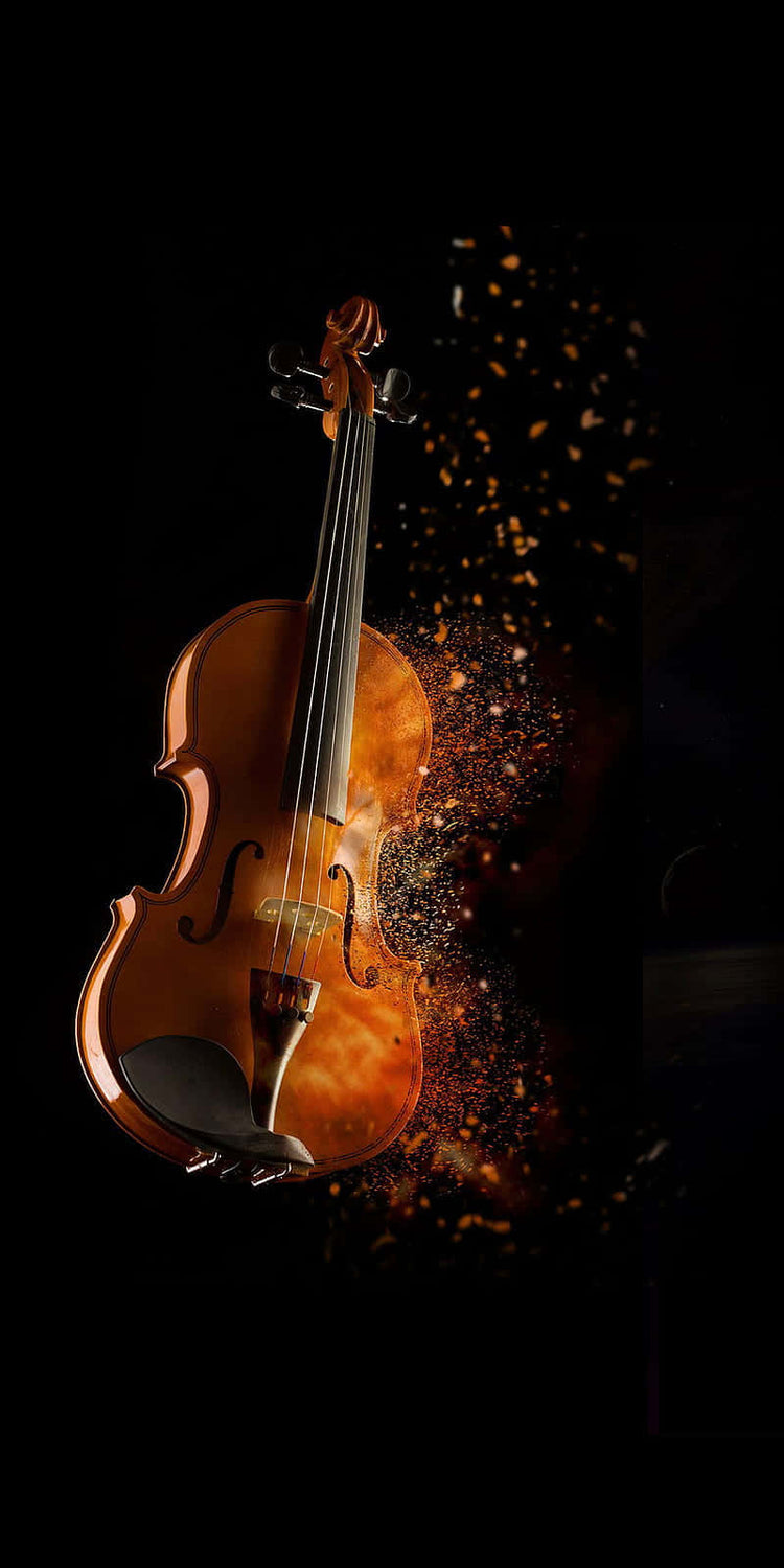 Instruments d’Occasion - Cham Music