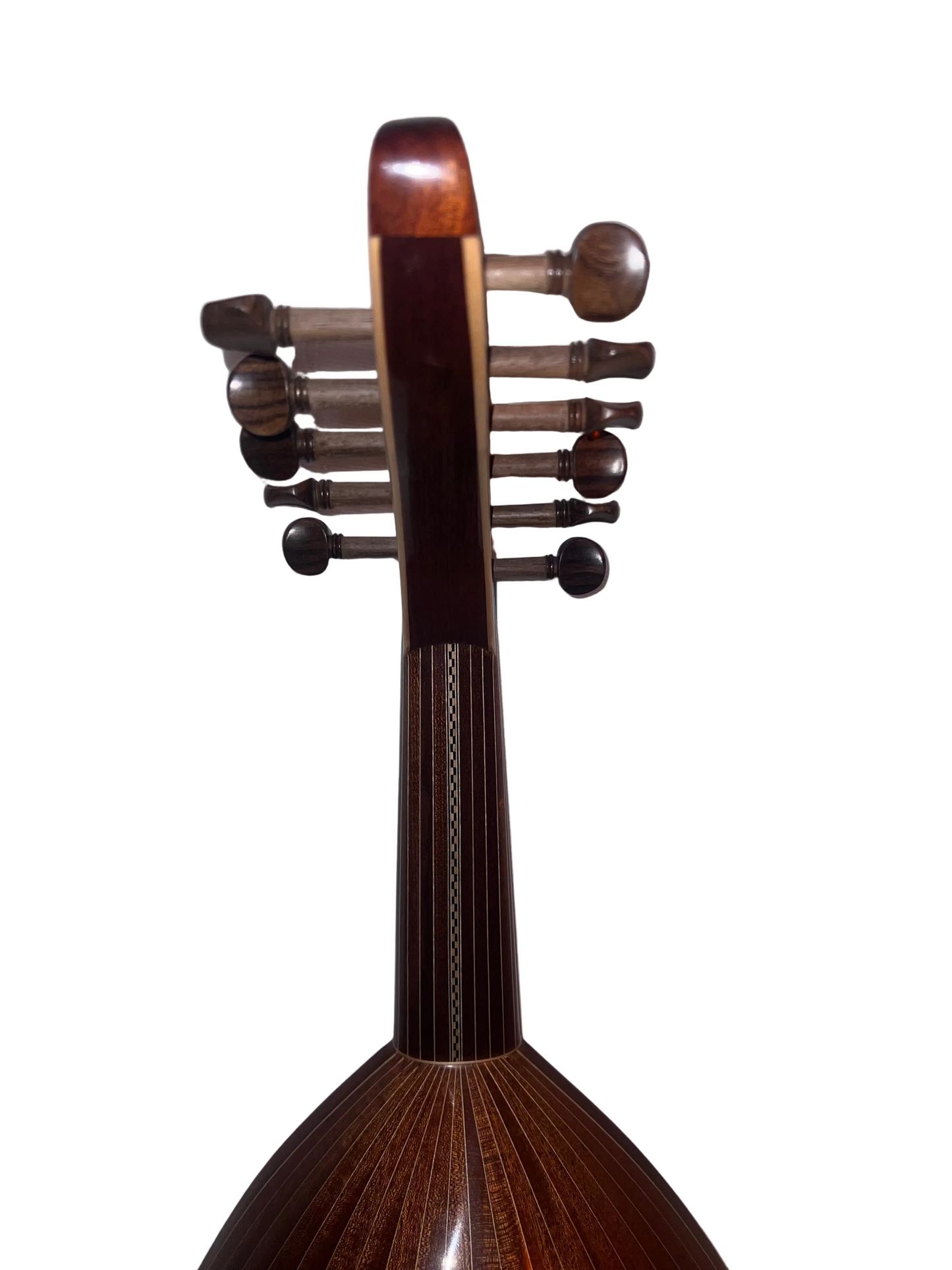 Professional Turkish Oud – Walnut & Spruce with Floating Bridge