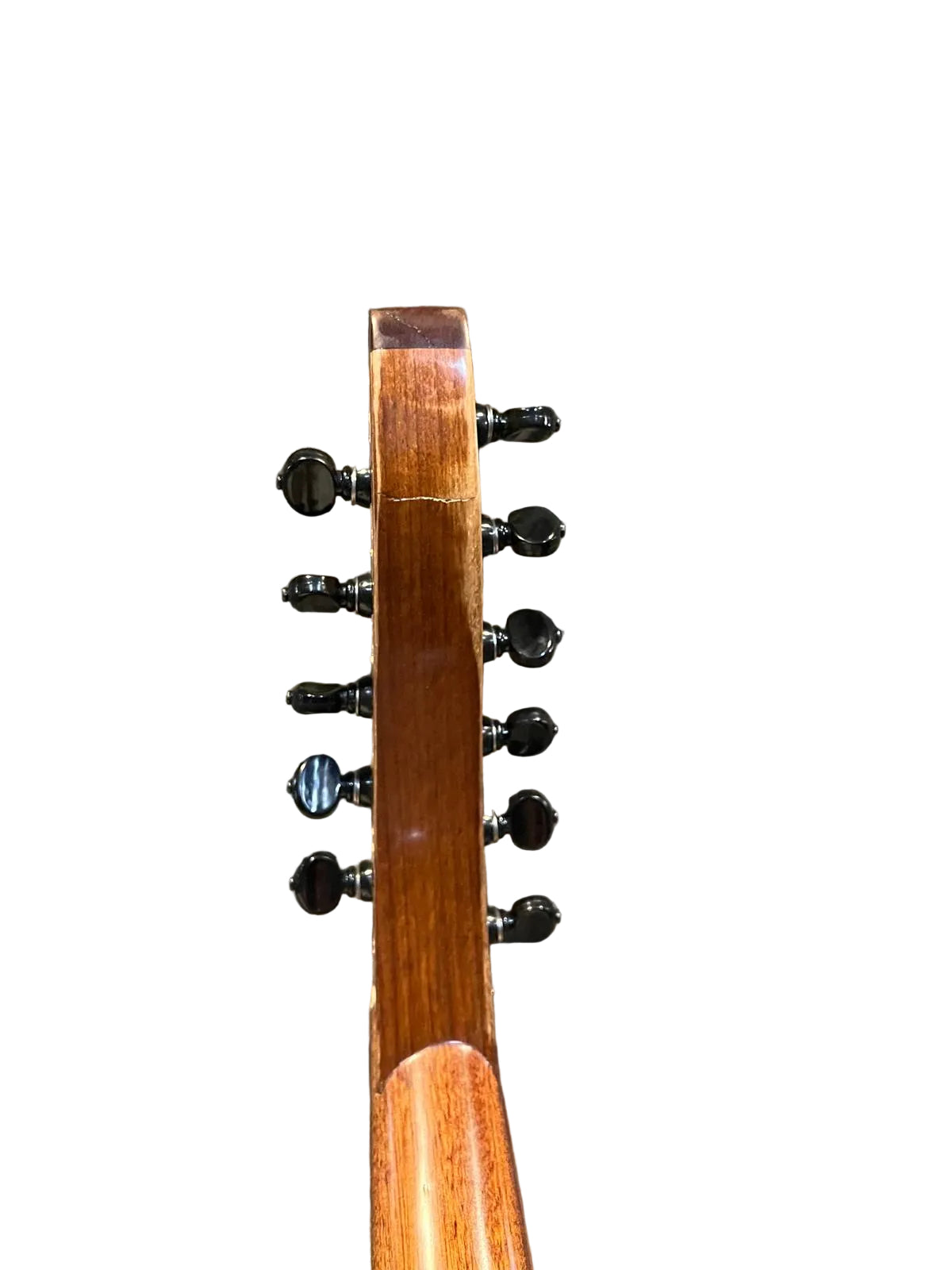 Oud Turc avec des mécaniques moderne (Occasion)