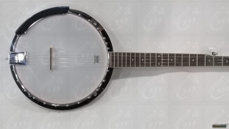 Banjo à 5 cordes - Puissance Bluegrass Découvrez la - Cham Music -