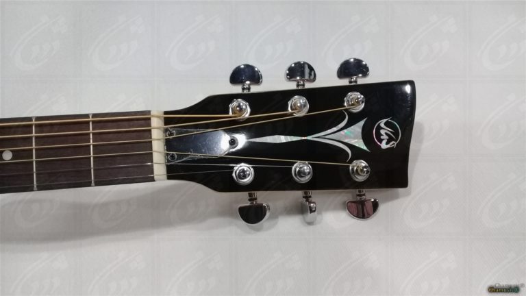 Banjo Guitare (à 6 cordes) - Fusion Polyvalente Explorez la - Cham Music -