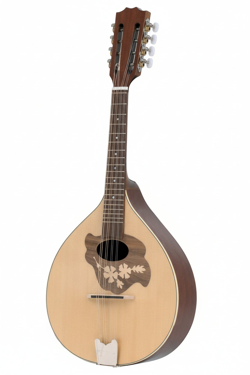 Découvrez la mandoline à dos plat GEWA Pro Arte Modèle 2, - Cham Music -