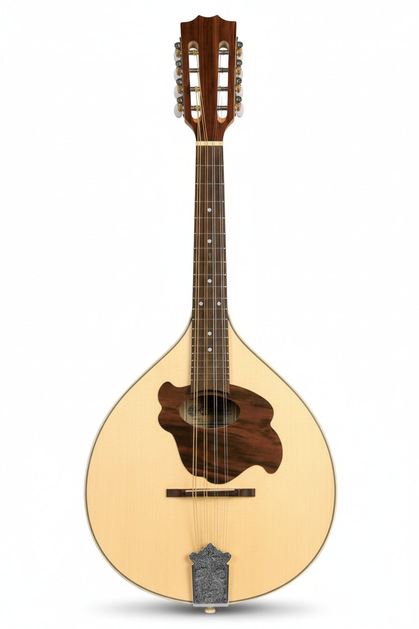 Découvrez la mandoline à dos plat GEWA Pro Natura, une - Cham Music -