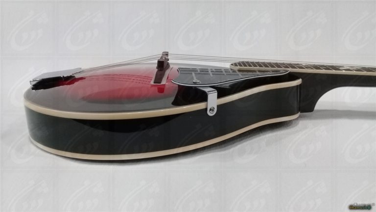 Découvrez la mandoline folk GEWA A - 1E, un modèle - Cham Music -