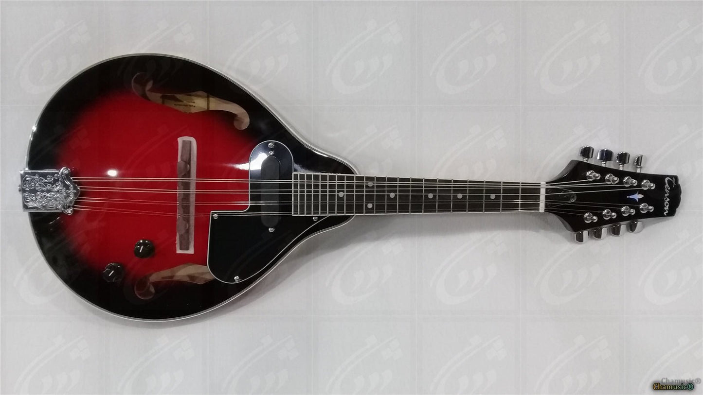 Découvrez la mandoline folk GEWA A - 1E, un modèle - Cham Music -