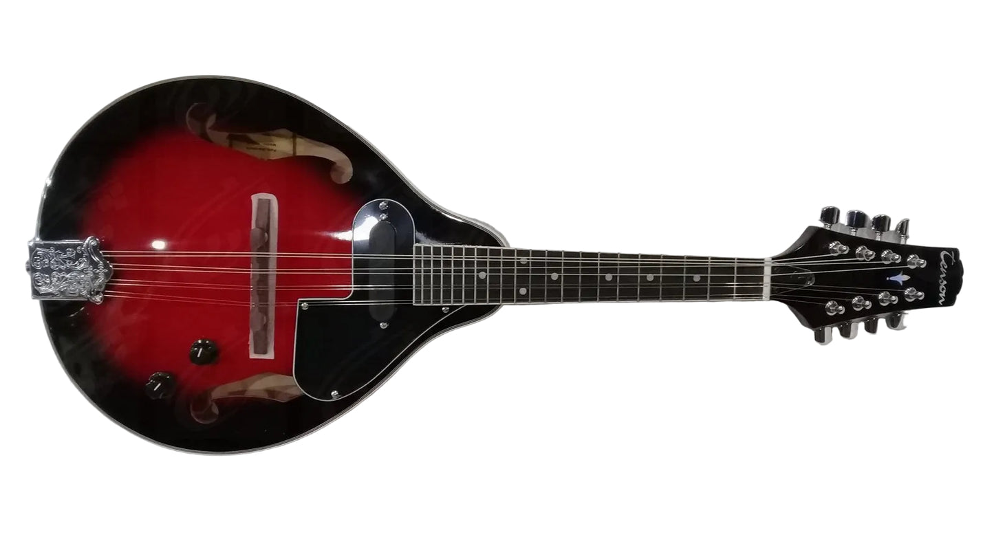 Découvrez la mandoline folk GEWA A - 1E, un modèle - Cham Music -