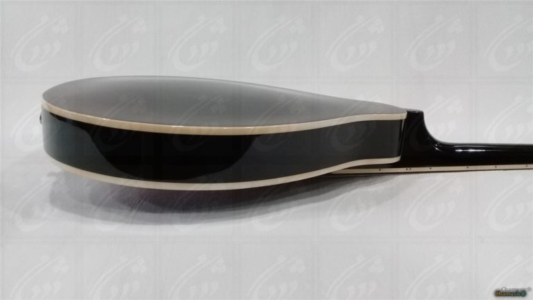 Découvrez la mandoline folk GEWA A - 1E, un modèle - Cham Music -