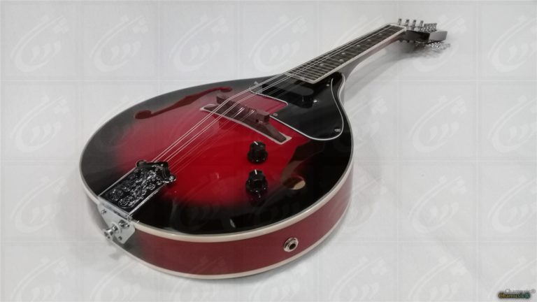 Découvrez la mandoline folk GEWA A - 1E, un modèle - Cham Music -