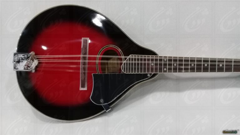 Découvrez la mandoline folk GEWA A - 1E, un modèle - Cham Music -