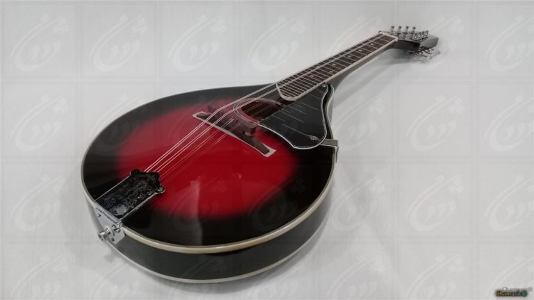 Découvrez la mandoline folk GEWA A - 1E, un modèle - Cham Music -