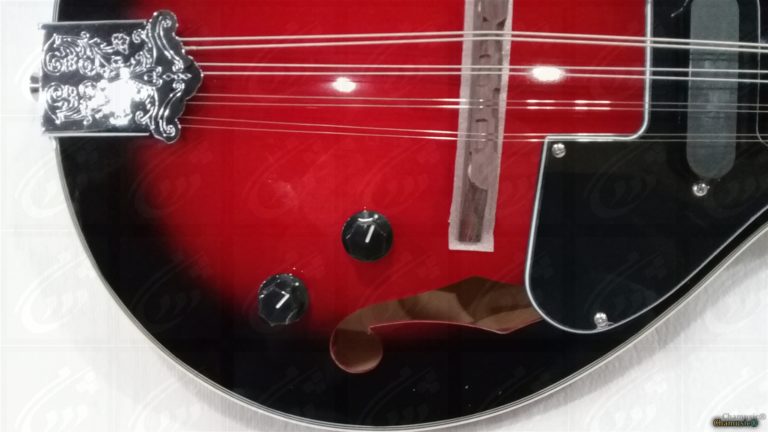 Découvrez la mandoline folk GEWA A - 1E, un modèle - Cham Music -