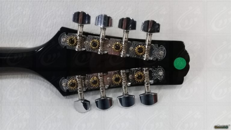 Découvrez la mandoline folk GEWA A - 1E, un modèle - Cham Music -