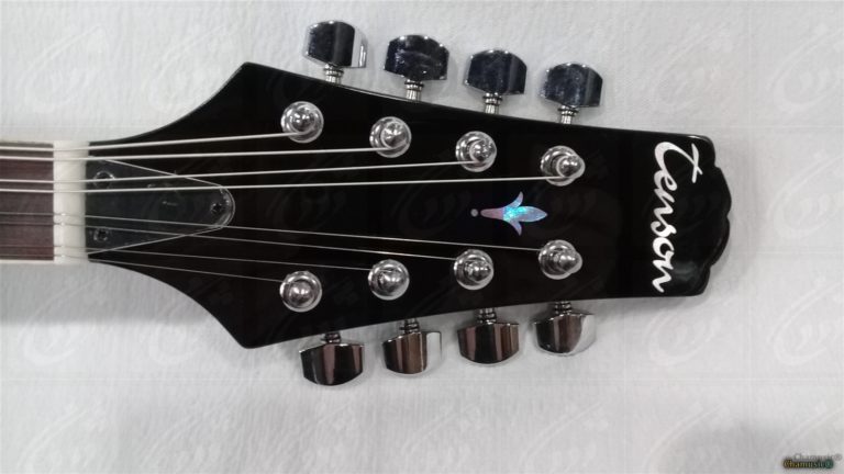 Découvrez la mandoline folk GEWA A - 1E, un modèle - Cham Music -