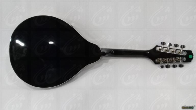 Découvrez la mandoline folk GEWA A - 1E, un modèle - Cham Music -