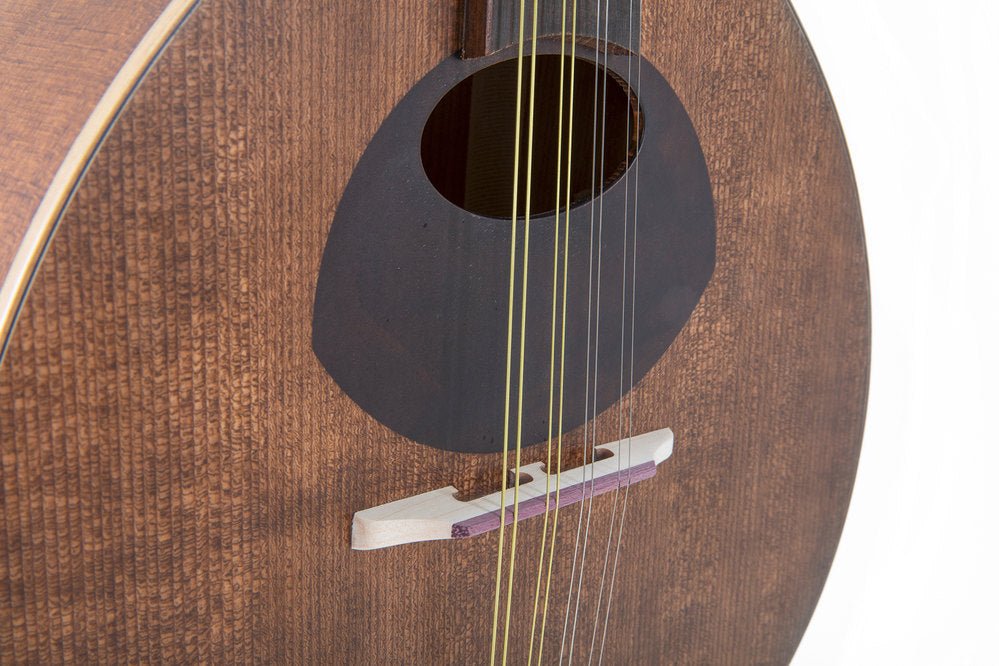 Découvrez la mandoline GEWA Pro Arte Antique, une pièce - Cham Music -