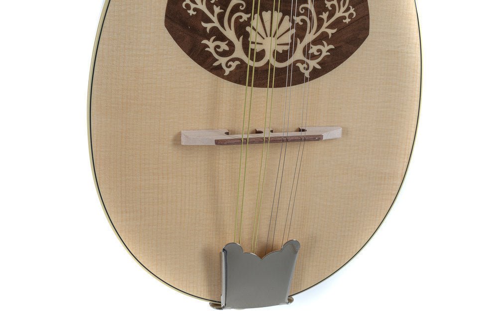 Découvrez la petite mandoline à dos plat GEWA, une - Cham Music -