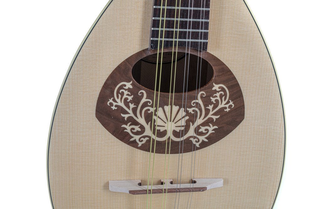Découvrez la petite mandoline à dos plat GEWA, une - Cham Music -