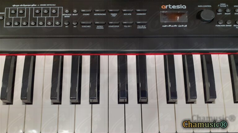 Découvrez le piano numérique portable Artesia APE - 88, idéal - Cham Music -