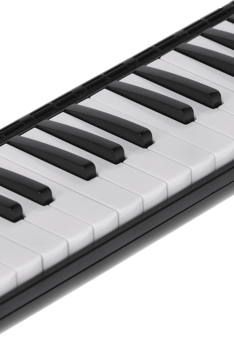 Explorez vos talents musicaux avec la PURE GEWA Melodica - Cham Music -
