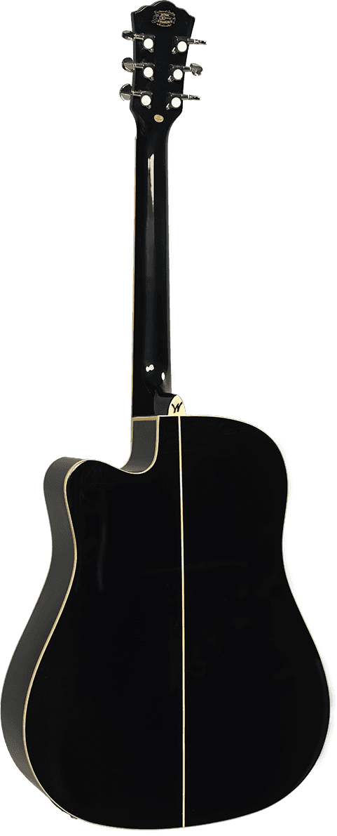 La Washburn est une guitare électro - acoustique au format - Cham Music -