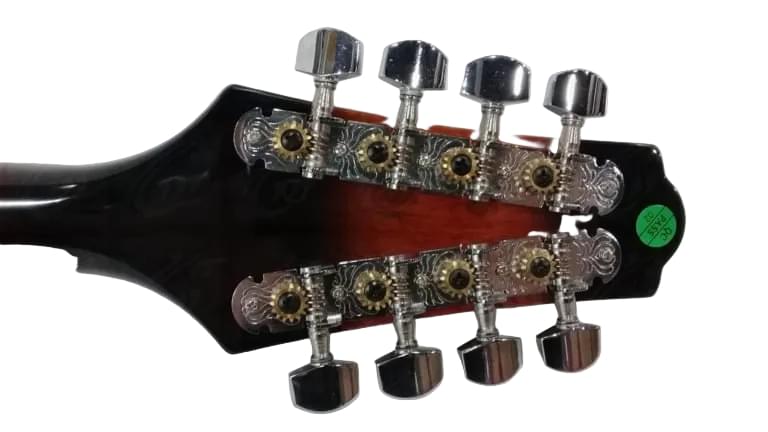 Mandoline VGS Electro - Élégance Amplifiée : (Avec étui) - Cham Music -