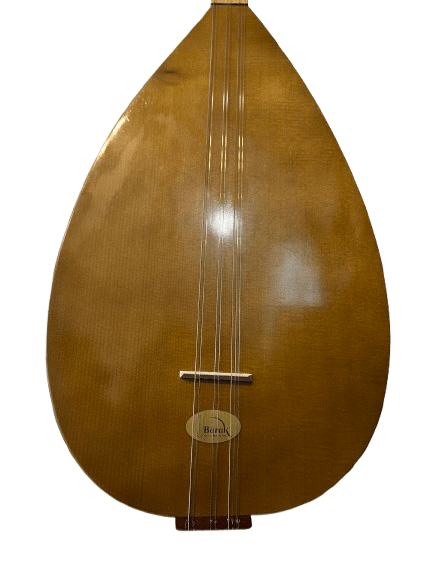 Un modèle rare et ultra charmant, idéal pour découvrir le - Cham Music -