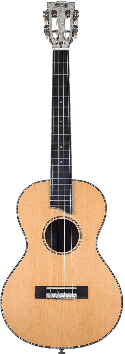 Vous recherchez un instrument à la fois élégant et - Cham Music - String Instrument