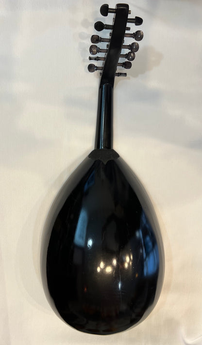 Oud Égyptien taille 1/2 avec micro intégré (Occasion)