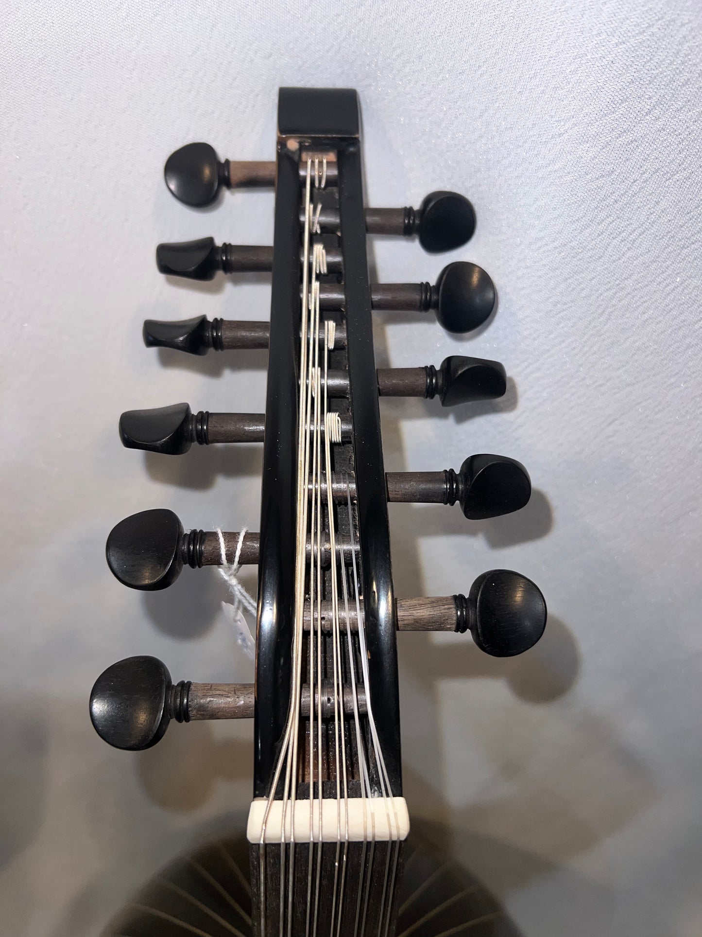 Oud turc intermédiaire Noyer et Épicéa – Modèle 2
