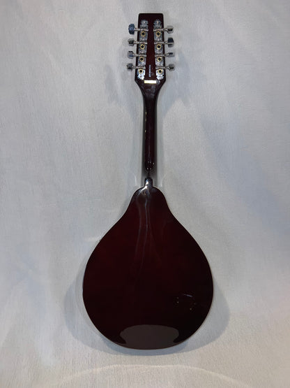 Mandoline Tanglewood A-Style - Finition Prune Brillant avec Ouïes en F