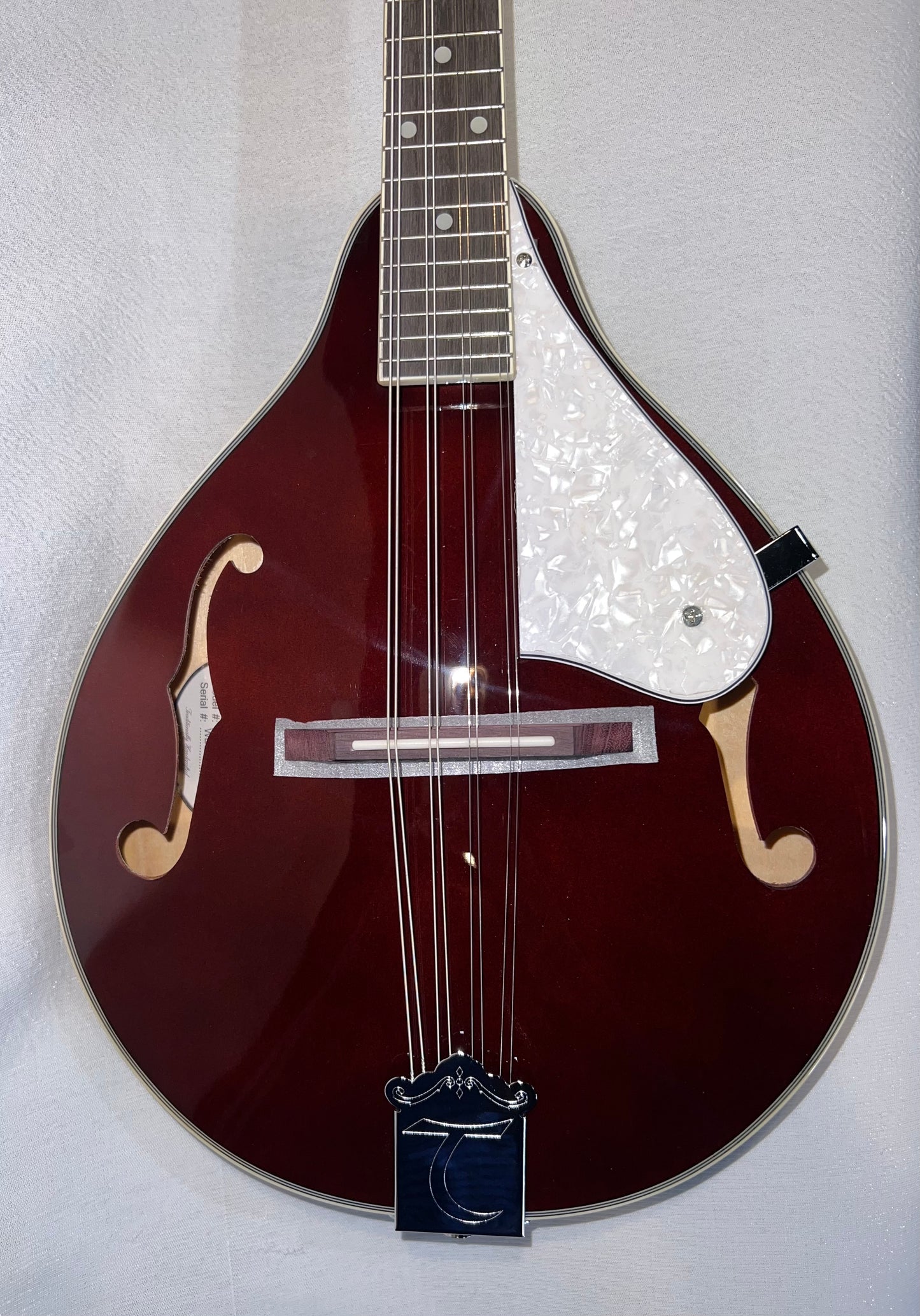 Mandoline Tanglewood A-Style - Finition Prune Brillant avec Ouïes en F