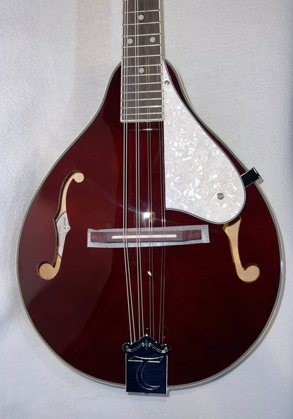 Mandoline Tanglewood A-Style - Finition Prune Brillant avec Ouïes en F