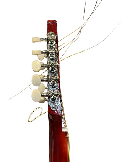 Mandole Algérienne 10 cordes élétro acoustique