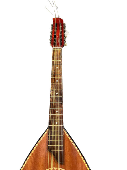 Mandole Algérienne 10 cordes élétro acoustique