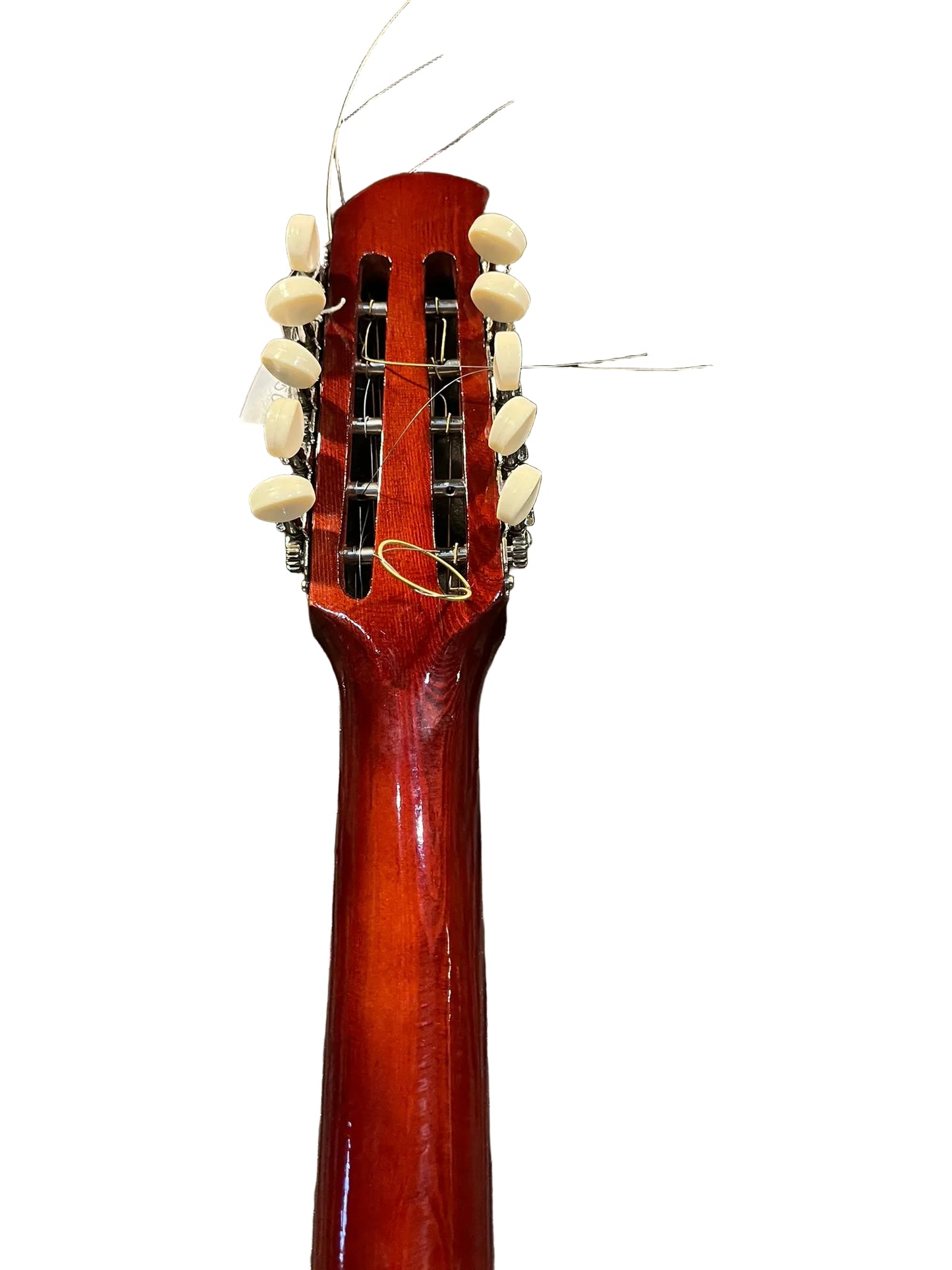 Mandole Algérienne 10 cordes élétro acoustique