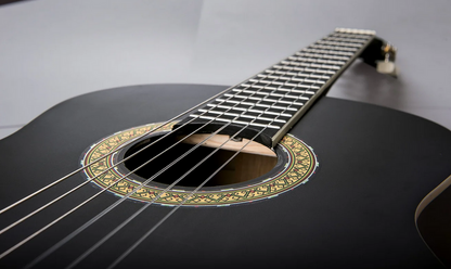 WS Beginner 4/4 Classical Guitar