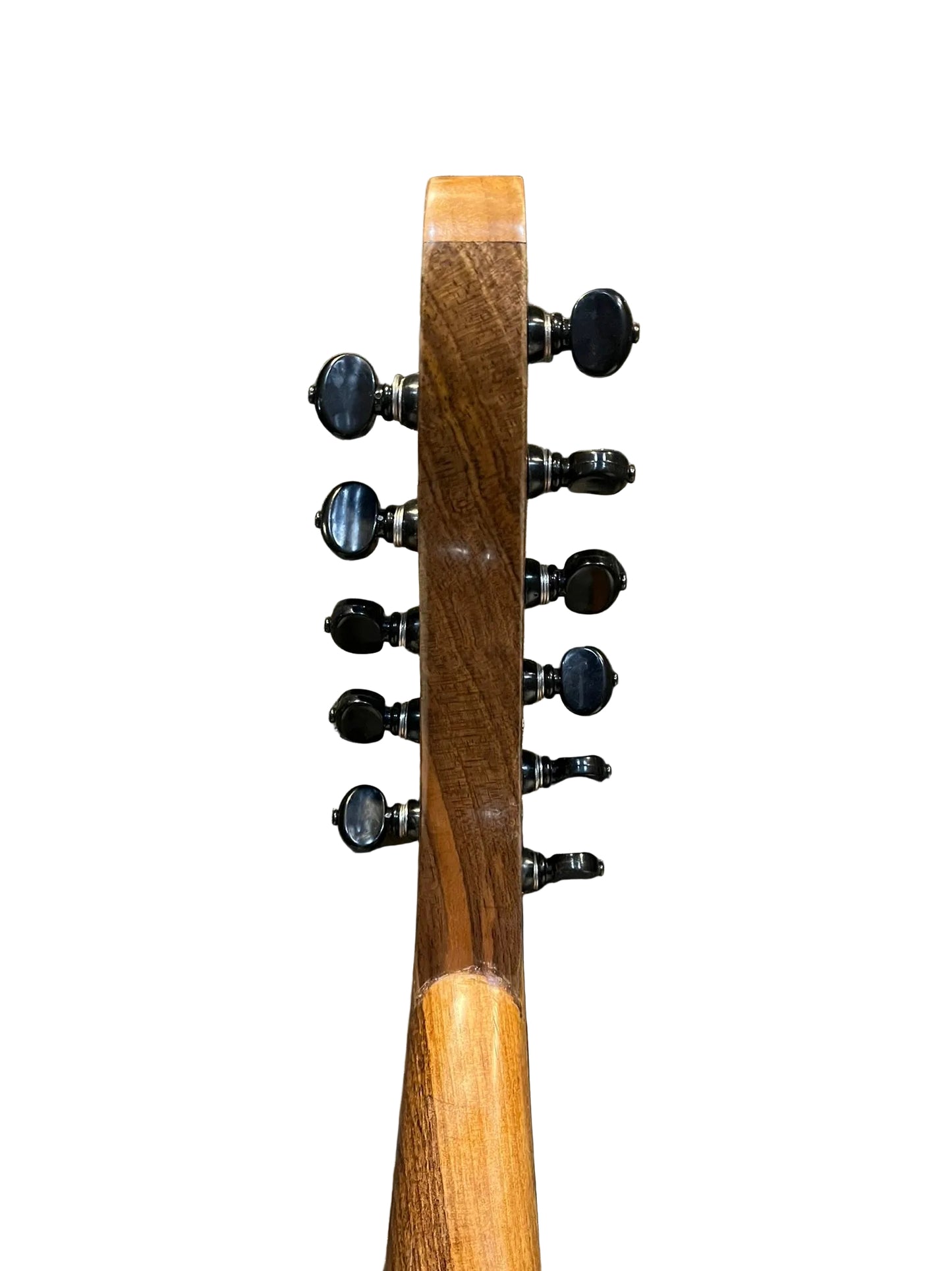 Oud Turc intermédiaire avec des mécaniques moderne