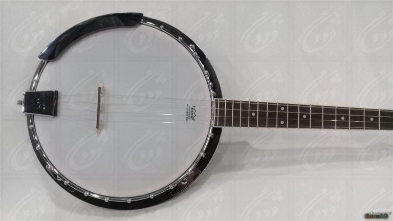 Banjo Tenor (à 4 cordes) - Élégance Folklorique Plongez - Cham Music -