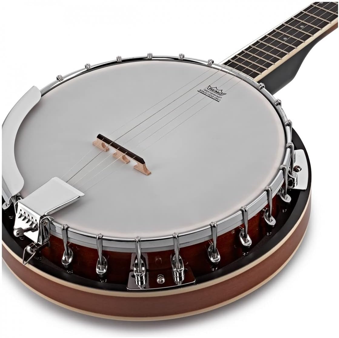 5-String Banjo - Bluegrass Power