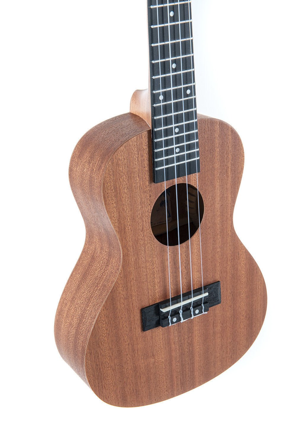Corps et manche en sapelli Touche et chevalet en richlite - Cham Music - String Instrument