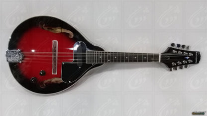 Découvrez la mandoline folk GEWA A - 1E, un modèle - Cham Music - 