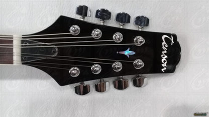 Découvrez la mandoline folk GEWA A - 1E, un modèle - Cham Music - 