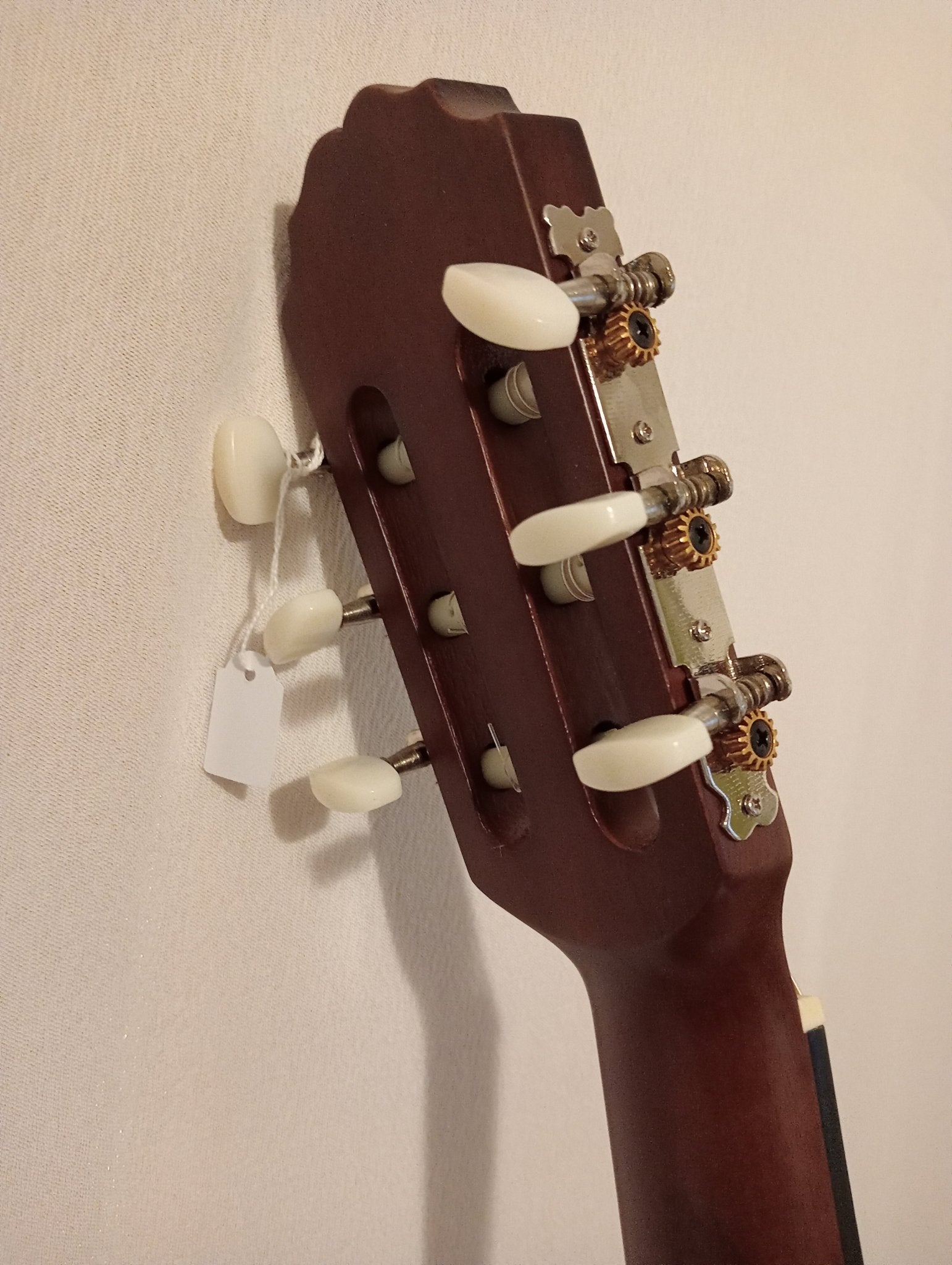 Découvrez la version électro - classique de la guitare Gewa - Cham Music -