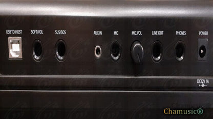 Découvrez le piano numérique portable Artesia APE - 88, idéal - Cham Music - 