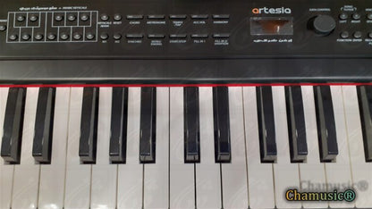 Découvrez le piano numérique portable Artesia APE - 88, idéal - Cham Music - 