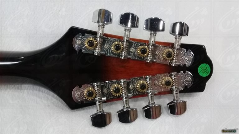 Mandoline VGS Electro - Élégance Amplifiée : (Avec étui) - Cham Music -