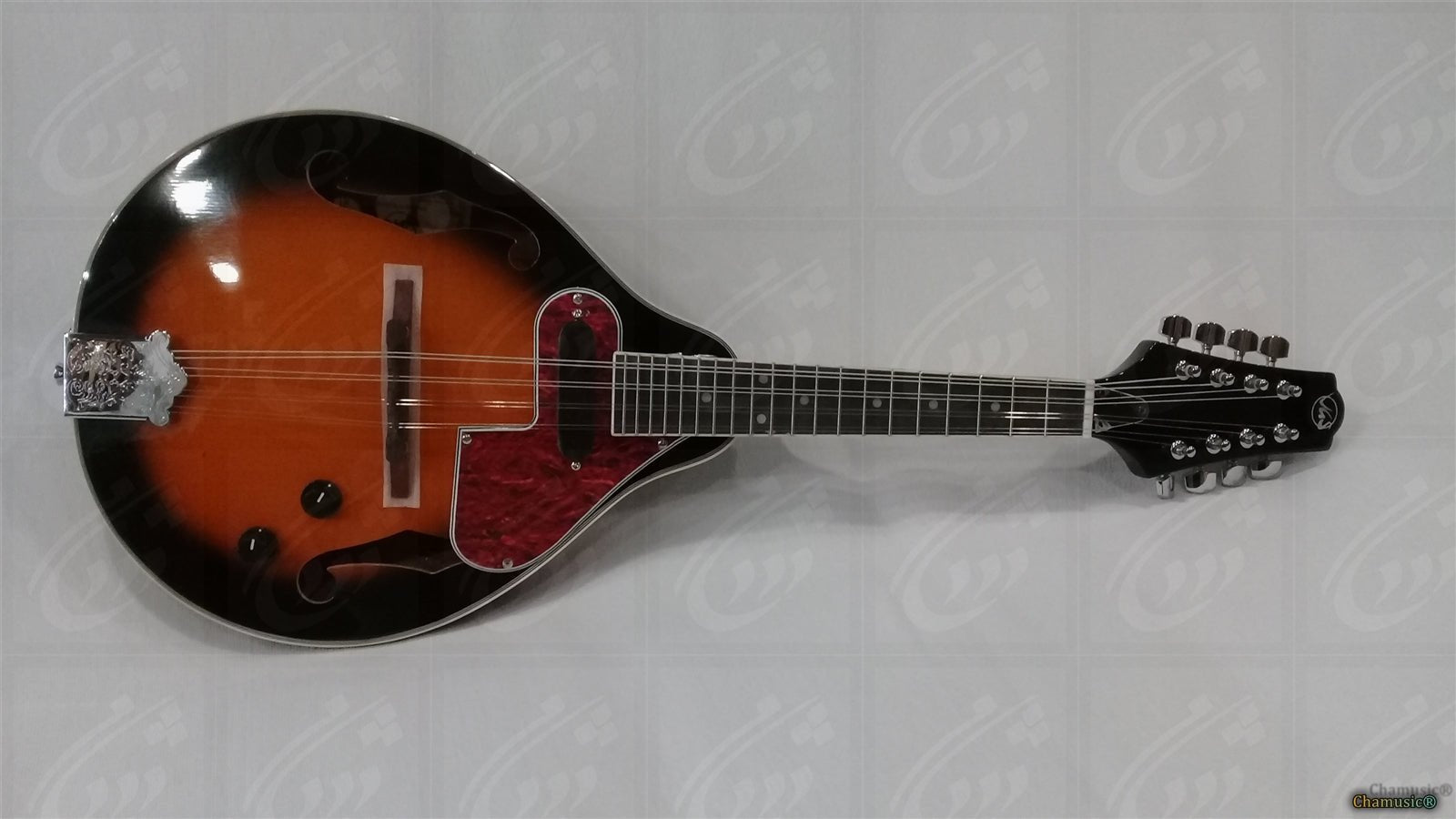 Mandoline VGS Electro - Élégance Amplifiée : (Avec étui) - Cham Music -
