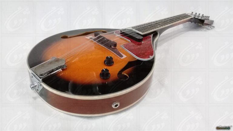 Mandoline VGS Electro - Élégance Amplifiée : (Avec étui) - Cham Music -