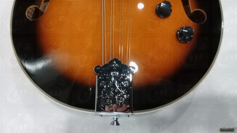 Mandoline VGS Electro - Élégance Amplifiée : (Avec étui) - Cham Music -